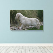 Golden Retriever Puppy Standing Canvas Afdruk (Insitu (Houten vloer))