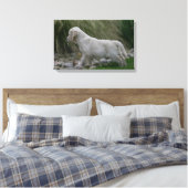 Golden Retriever Puppy Standing Canvas Afdruk (Insitu (Slaapkamer))