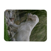 Golden Retriever Puppy Standing Magneet (Horizontaal)