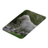 Golden Retriever Puppy Standing Magneet (Linkerzijde)