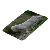 Golden Retriever Puppy Standing Magneet (Linkerzijde)