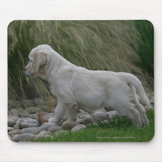 Golden Retriever Puppy Standing Muismat (Voorkant)