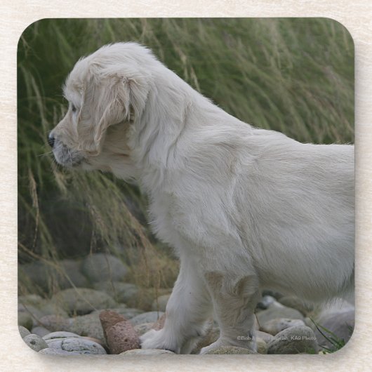 Golden Retriever Puppy Standing Onderzetter (Voorkant)