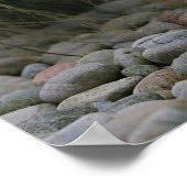 Golden Retriever Puppy Standing Poster (Hoek)