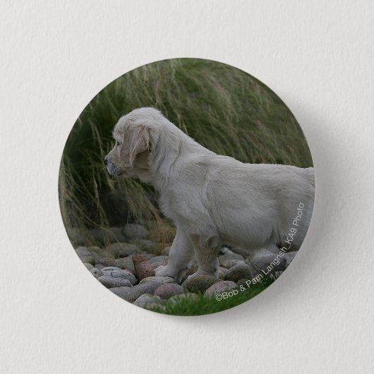 Golden Retriever Puppy Standing Ronde Button 5,7 Cm (Voorkant)