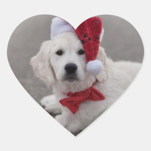 Golden Retriever Puppy Sticker (Voorkant)