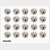 Golden Retriever Puppy Sticker (Vel)