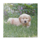 Golden Retriever Puppy Tegeltje (Voorkant)