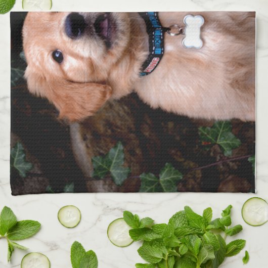 Golden Retriever Puppy Theedoek (Gevouwen)