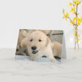 Golden Retriever Puppy Therapy Get Well Kaart (Gele Bloem)