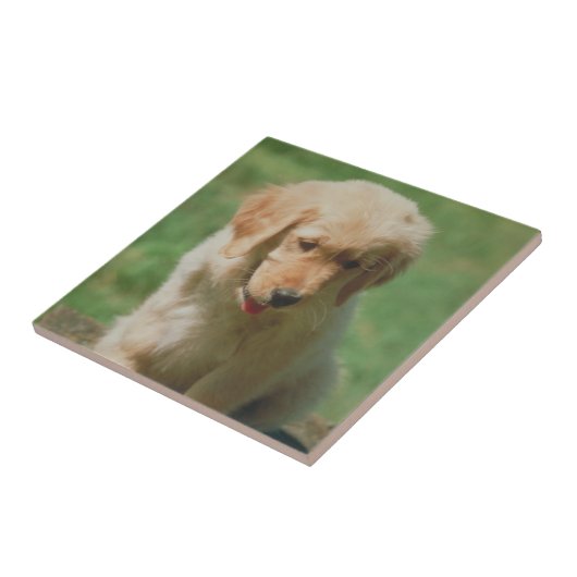 Golden Retriever Puppy Tile Tegeltje (Zijkant)