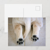 Golden Retriever Puppy Toes Briefkaart (Voorkant / Achterkant)