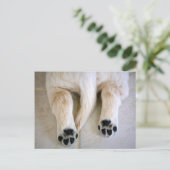 Golden Retriever Puppy Toes Briefkaart (Staand voorkant)