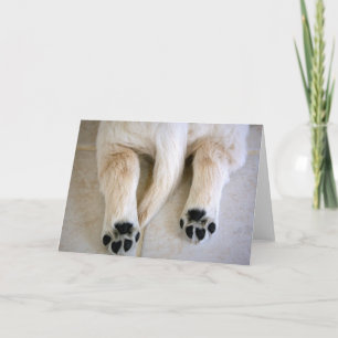 Golden Retriever Puppy Toes Kaart