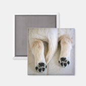 Golden Retriever Puppy Toes Magneet (Voorkant / Achterkant)