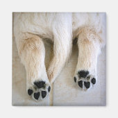 Golden Retriever Puppy Toes Magneet (Voorkant)
