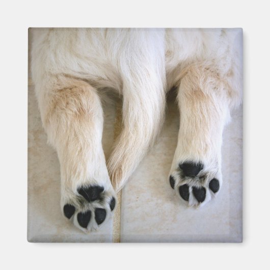 Golden Retriever Puppy Toes Magneet (Voorkant)