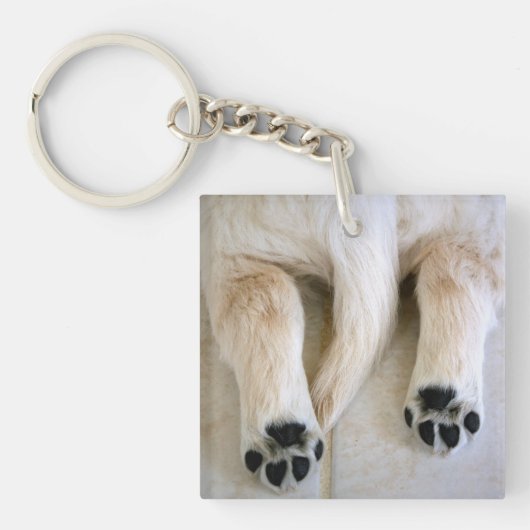 Golden Retriever Puppy Toes Sleutelhanger (Voorkant)