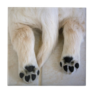 Golden Retriever Puppy Toes Tegeltje