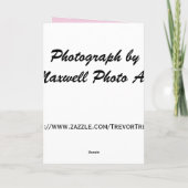 Golden Retriever Puppy Valentijnsdag Kaart (Achterkant)