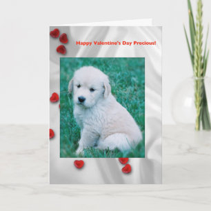 Golden Retriever Puppy Valentijnsdag Kaart