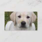 Golden Retriever Puppy Visitekaartje (Achterkant)