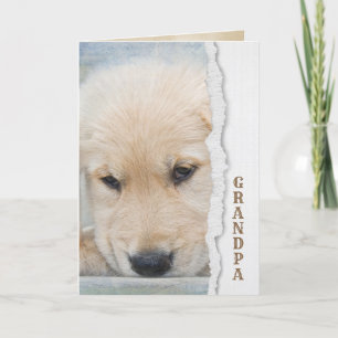 golden retriever puppy voor opa kaart