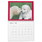 Golden Retriever Puppy Wall Agenda Kalender (Feb 2026)