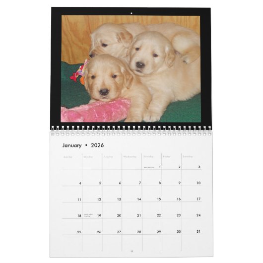Golden Retriever Puppy Wall Agenda Kalender (Jan 2026)