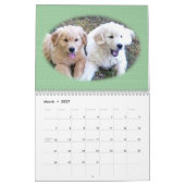 Golden Retriever Puppy Wall Agenda Kalender (Mar 2027)