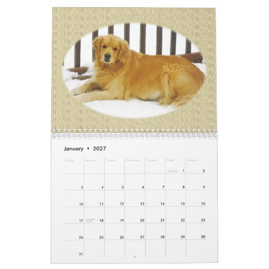 Golden Retriever Puppy Wall Agenda Kalender (Jan 2027)