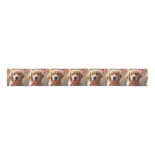 Golden Retriever Puppy With a Candy Cane Grosgrain Lint (Voorkant)