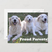Golden Retriever Puppy with Proud Parents Briefkaart (Voorkant / Achterkant)