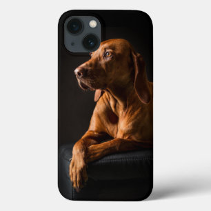 Golden Retriever Purebred Portret Case-Mate iPhone Case