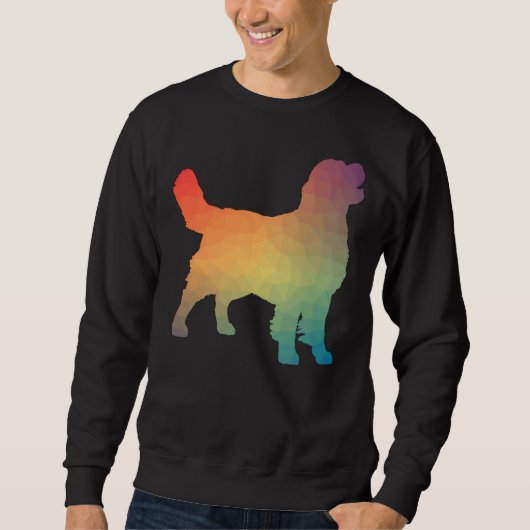 Golden Retriever Rainbow Geometric Trui (Voorkant)
