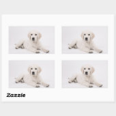 Golden Retriever Rechthoekige Sticker (Vel)