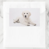 Golden Retriever Rechthoekige Sticker (Tas)