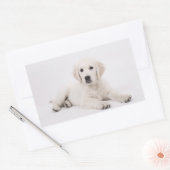 Golden Retriever Rechthoekige Sticker (Envelop)