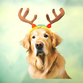 Golden Retriever Rendier Raamsticker (Vel 3)