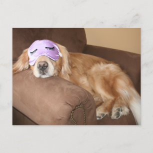 Golden Retriever Retirement Briefkaart