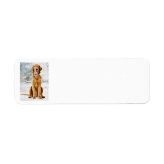 Golden Retriever Return Address Label (Voorkant)