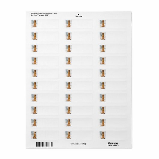 Golden Retriever Return Address Label (Full Sheet)