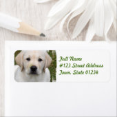 Golden Retriever Return Address Label (Insitu)