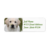 Golden Retriever Return Address Label (Voorkant)