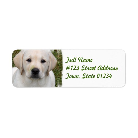 Golden Retriever Return Address Label (Voorkant)