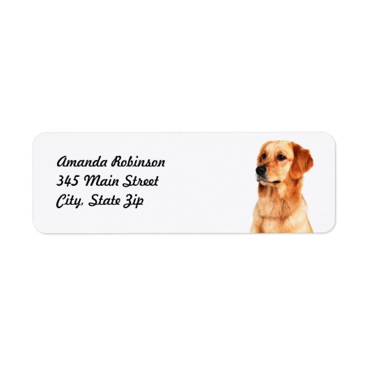 Golden Retriever Return Address Label (Voorkant)
