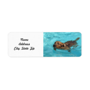 Golden Retriever Return Address Label, SWM Etiket