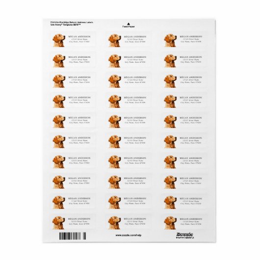 Golden Retriever Return Address Labels (Full Sheet)