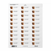 Golden Retriever Return Address Labels (Full Sheet)
