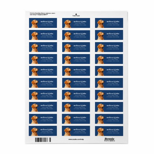 Golden Retriever Return Address Labels (Full Sheet)